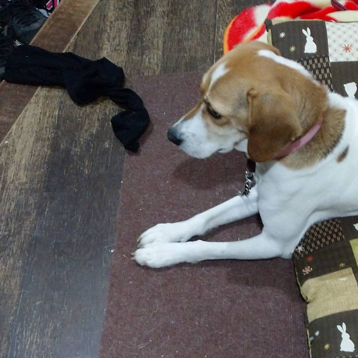 Fd48fcdc 046d 4d8c a5fc 68ef2d0667e2 1579511877248