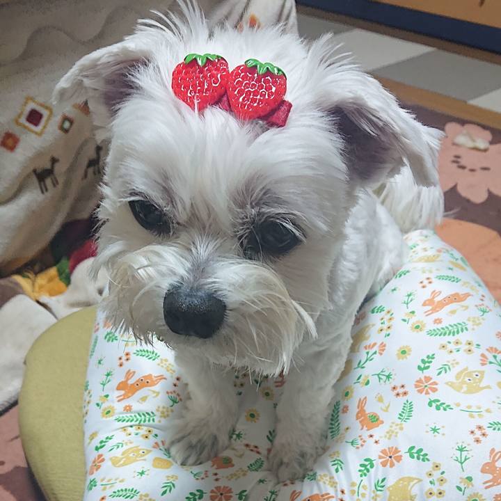 Fd490ec8 3122 4c2b 8676 b8abde49bcb2 1644930081233