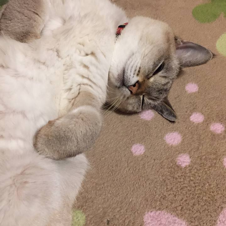 Fd492163 e0a7 44cd afd2 b1d2415d1283 1576532553275