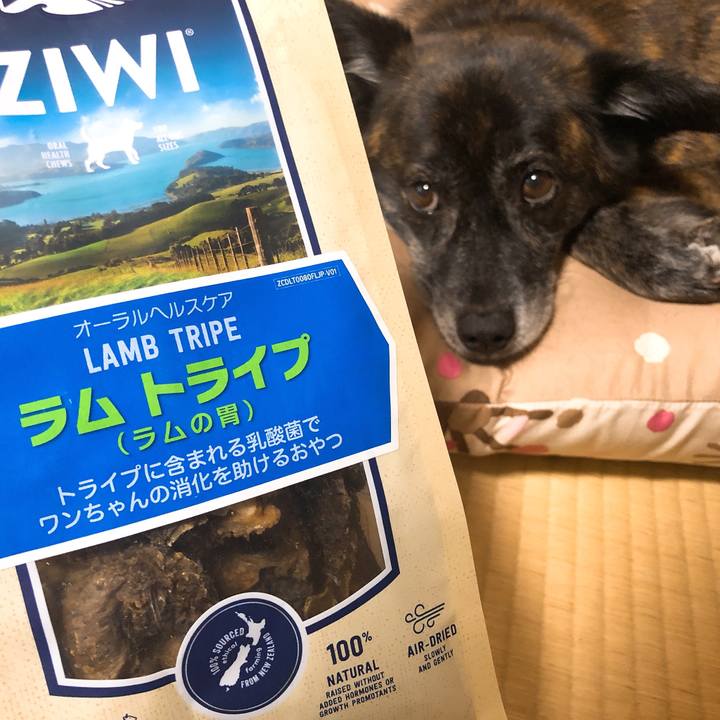 Fd493dd1 4fab 495e 8ba6 d62831b810b4 1593237143953