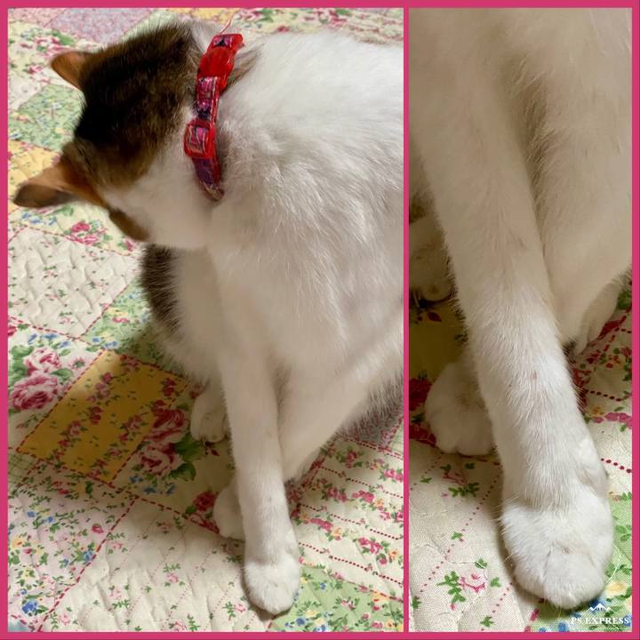 Fd499f41 6f6d 46c5 a788 ccc91fdf8f2c 1621647691531