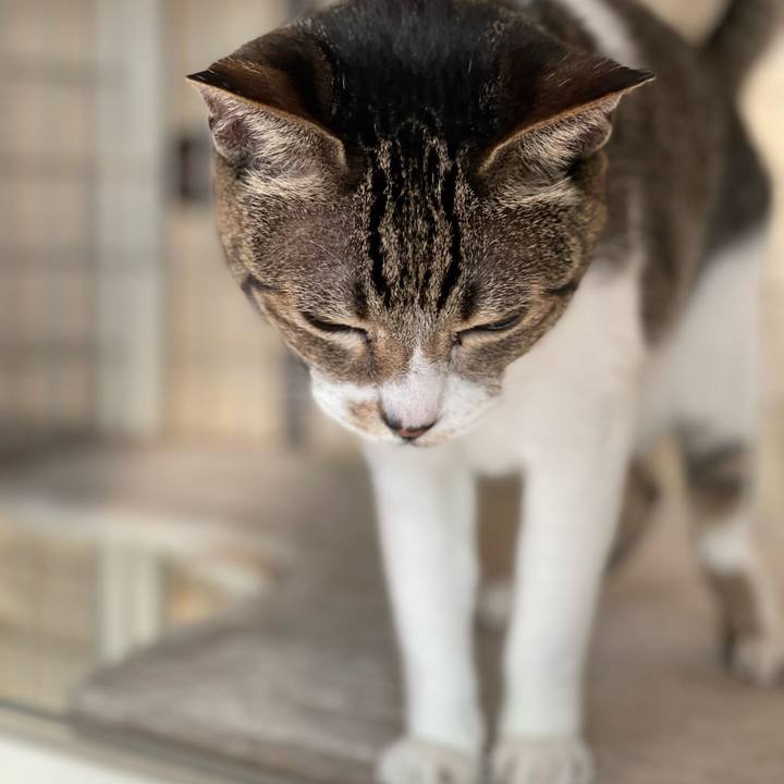 Fd49a848 3a7f 4188 99c0 a82c43c6c914 1637716656703