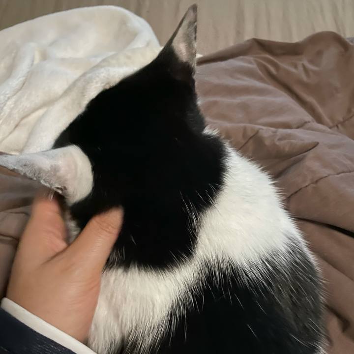 Fd49cc81 f8a8 47c8 bf95 3e26e0c42e9f 1623007623572