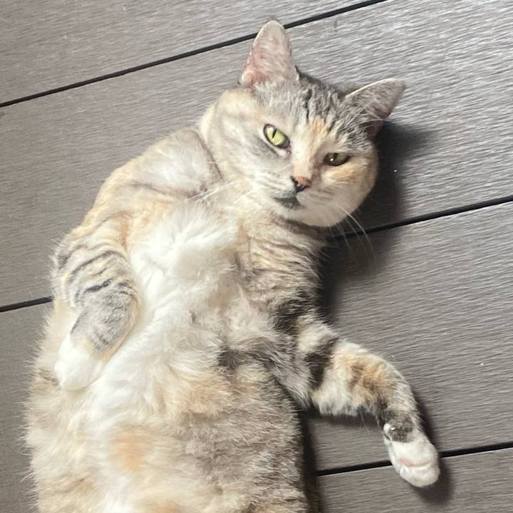 Fd49ddde da88 4e03 be8f 8f7c11915389 1722292927807