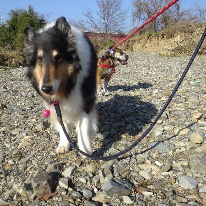 Fd4a04ee 0c9a 47fb 9a08 875adb207481 1583068375092