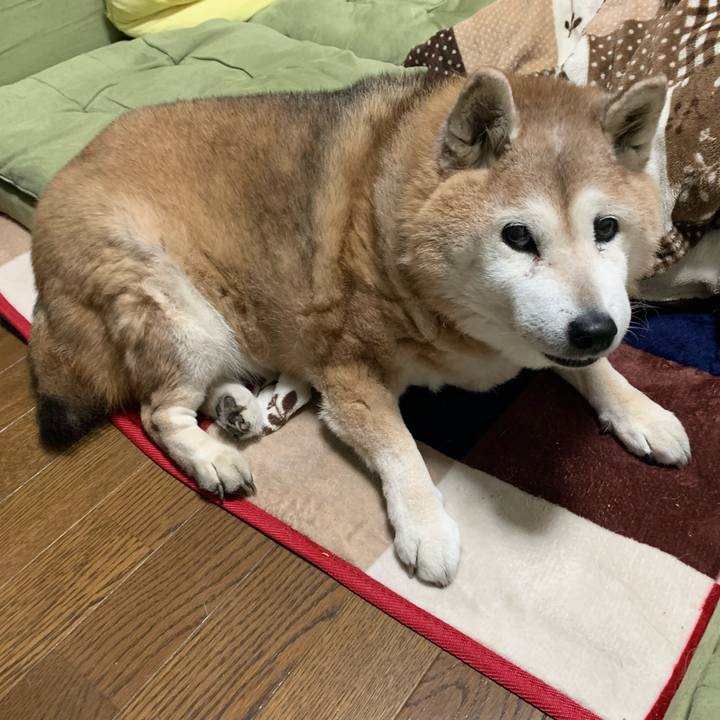 Fd4a1809 a80e 47dc b459 7d3dc764d280 1644362764214