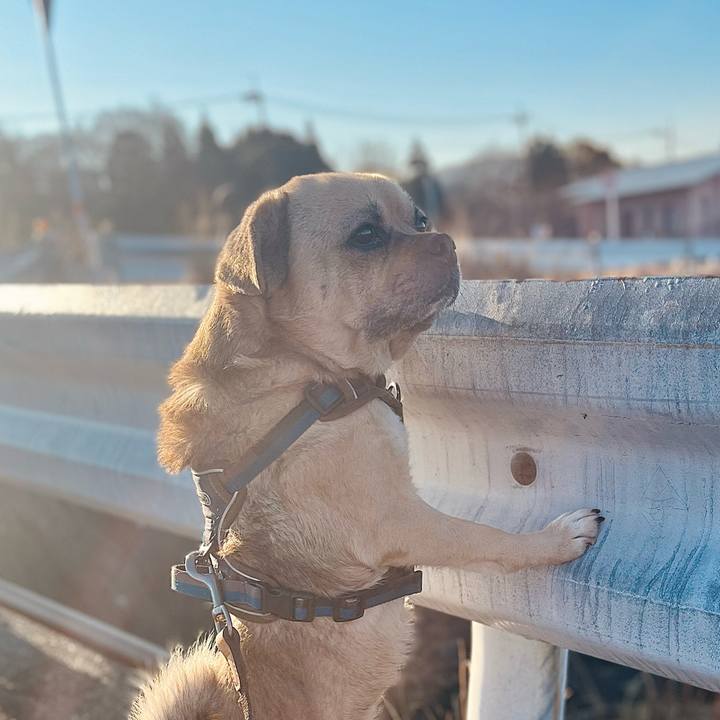 Fd4a1a45 35c1 47b0 a16c 2450577f433d 1772062474488