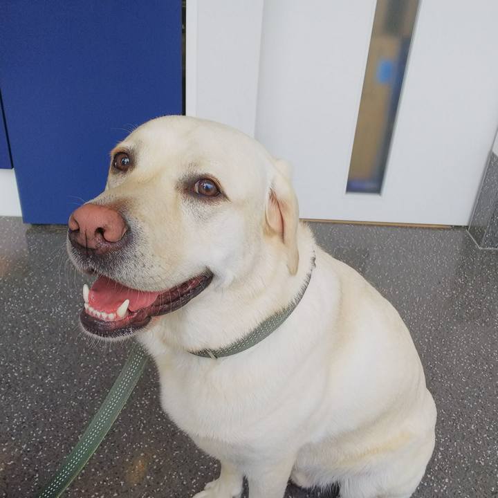 Fd4a3920 b74e 4361 ae54 e93feca4400f 1526189725132