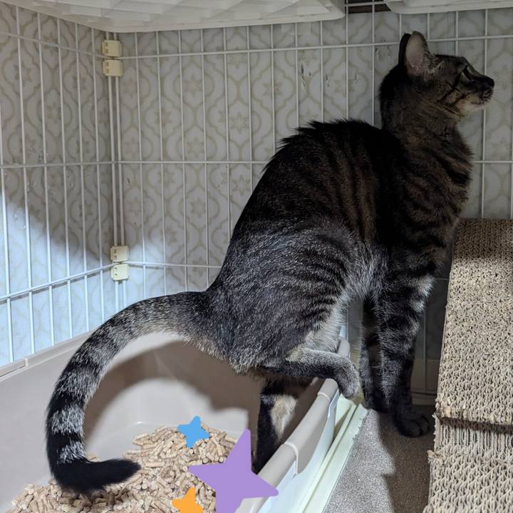 Fd4a466e 4d86 479a 9bda 608c2608bb6c 1734342329076