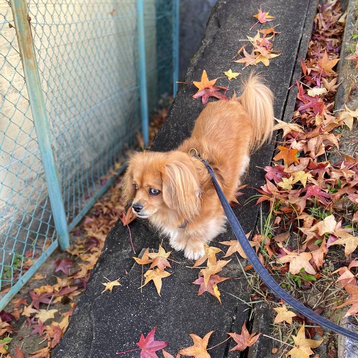 Fd4a6b95 7377 4fc8 82d5 345b938584ae 1574466331980