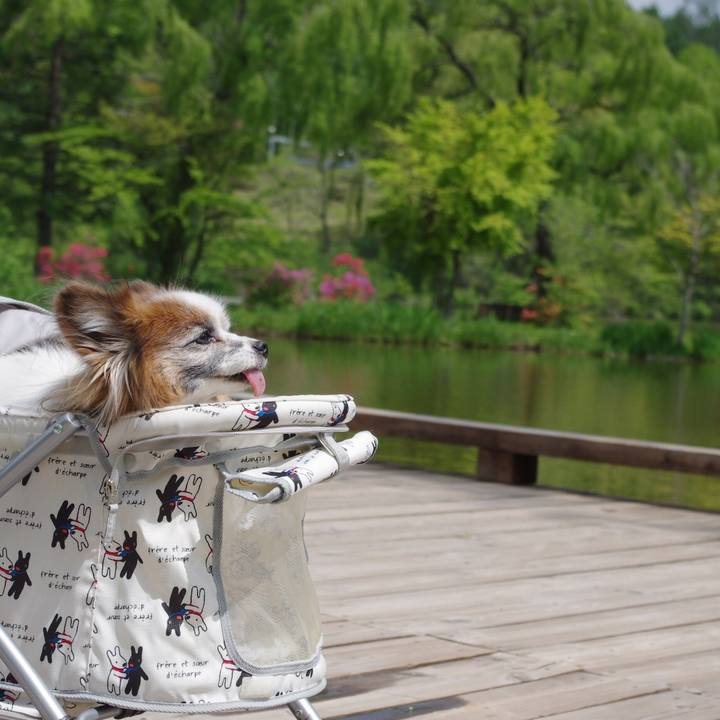 Fd4a6cce cf52 4750 bfdb cb3349a12fbd 1659498261210