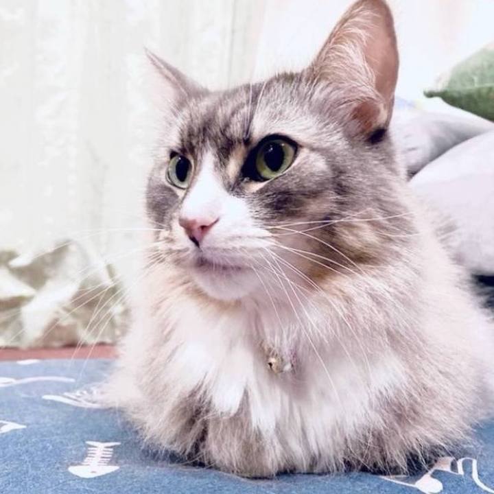 Fd4a7eb9 22b1 466e 8bda 46d2f300f57d 1759765463843