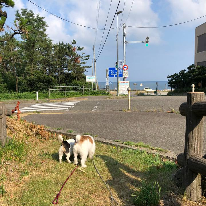 Fd4ade9e 7f15 424d a610 69732260bf87 1532391887889