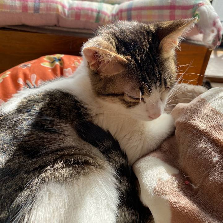 Fd4ae9d8 b2b2 4a04 96b3 d0687f8f7b86 1705813201442