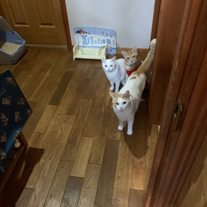 Fd4b0109 24ce 4a2f 83dc 11da9f313dbe 1594489474755