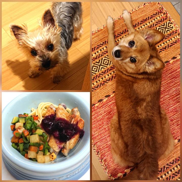 Fd4b2053 d508 4b6a b682 5660d5a5b2b0 1624101845726