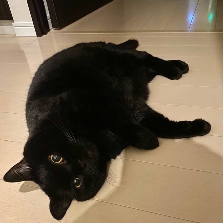 Fd4b3f0e d391 409c 869a a587a224c28b 1761055024549