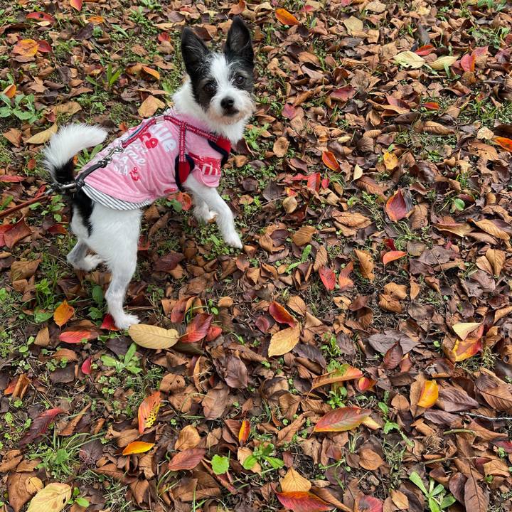 Fd4b6249 ede8 472e a1d8 90b07e1b725e 1635850177326