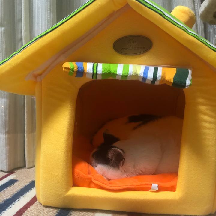 Fd4b70f5 33b9 46f4 b329 077560d7611b 1575200013507