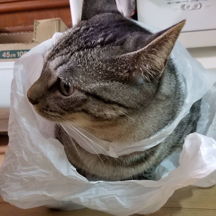 Fd4b7b7d af1a 440e a407 f79d476c69e6 1692153515265