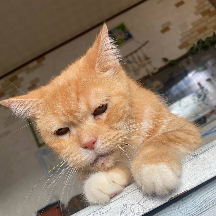 Fd4bce2c ea85 4eae a130 085025479d94 1632351267967