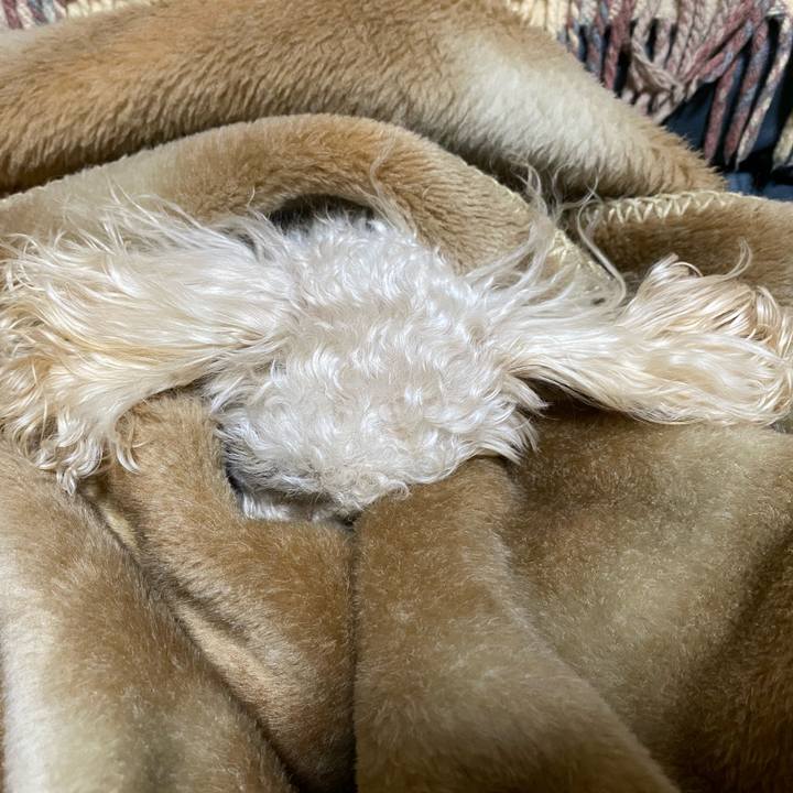 Fd4be012 5de8 43fd be74 a763c854b5b2 1611235112573