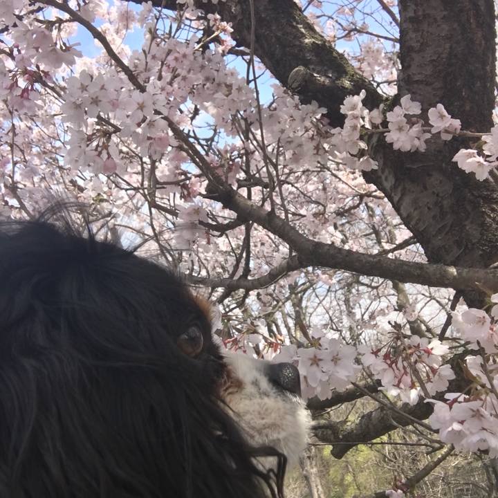 Fd4c024b 668d 4786 bdbb 1de94b0b352d 1521551546160