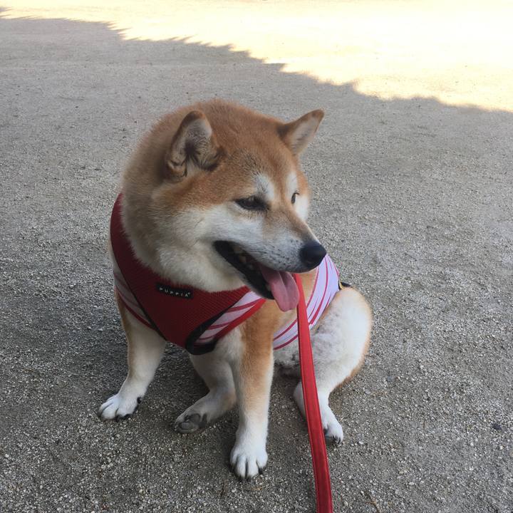 Fd4c135f c5df 47be 9838 7496b2e332e1 1597362460354