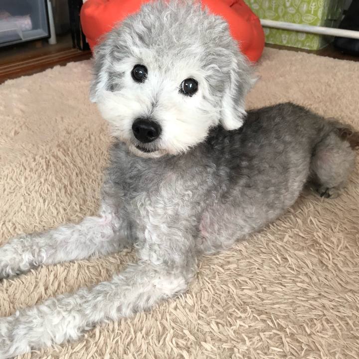 Fd4c475f c405 44af 93f3 838416fa6936 1560318531887