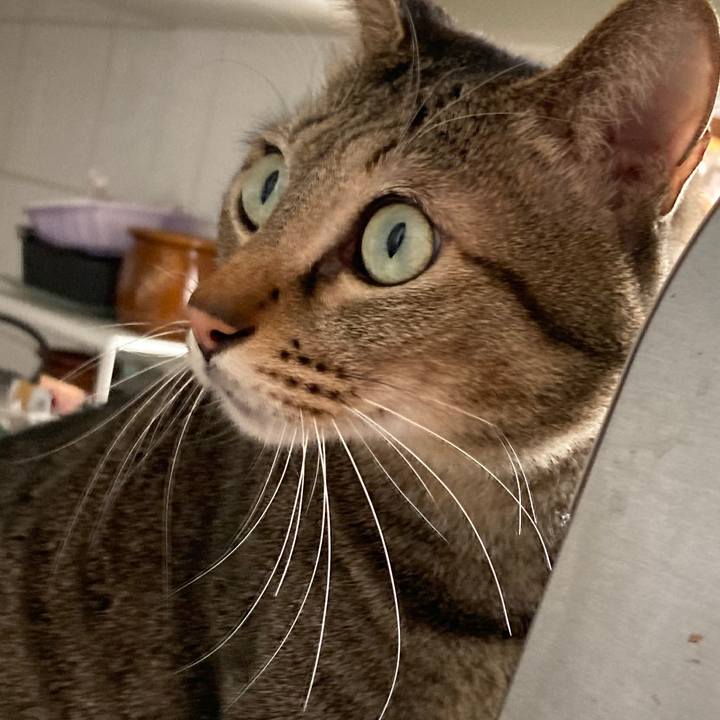 Fd4c48fe 818e 49c7 acd4 ae9a50f04547 1766011062293