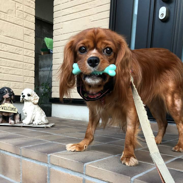 Fd4c4e41 8edf 4933 bf66 f544211aece2 1533354705484