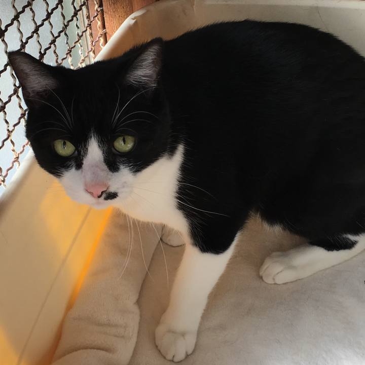 Fd4c50ea e887 457d ac94 356a228ccb60 1510227607107