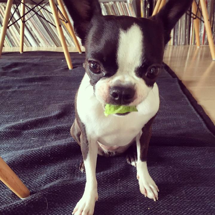 Fd4c527a 692d 40fa 95f5 b46b73952cb3 1526435352457