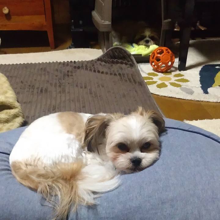 Fd4c6623 c516 4472 8adc fd7662098f6c 1590233379685