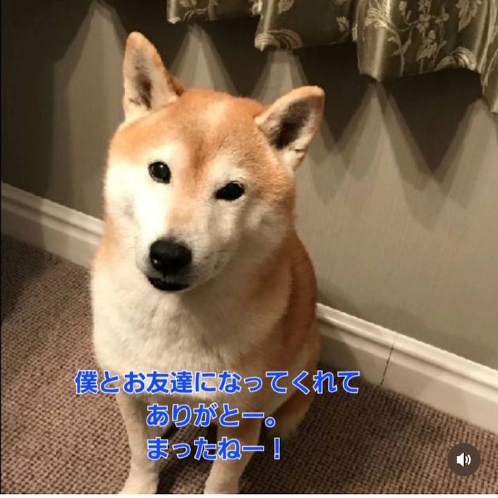 Fd4c6e82 c381 462a 9678 984d4d8786af 1724279685897