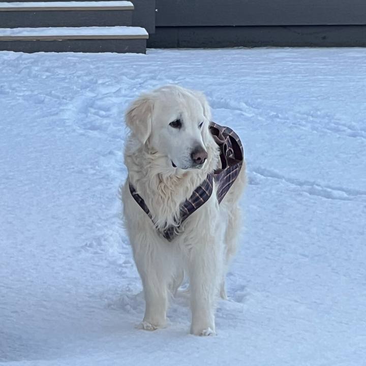 Fd4c9e7d b982 40a6 95b7 fd44799c88e3 1772821283590