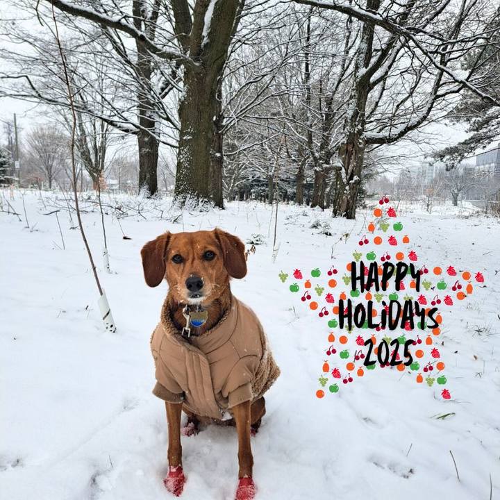 Fd4caf0c d59d 492b 8428 de6df131ec12 1766543305668