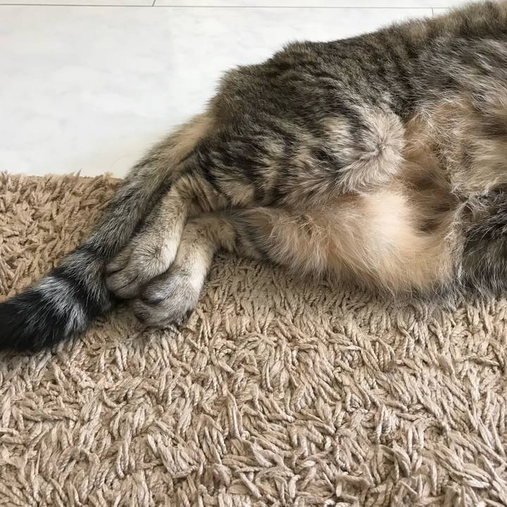 Fd4cbaa0 4da6 49b6 85a8 fc3b983afe52 1590894337575