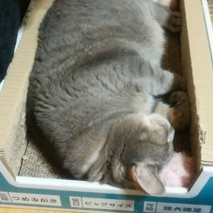 Fd4cc84c 4273 4aba 9e27 cef3553704c0 1536061245945