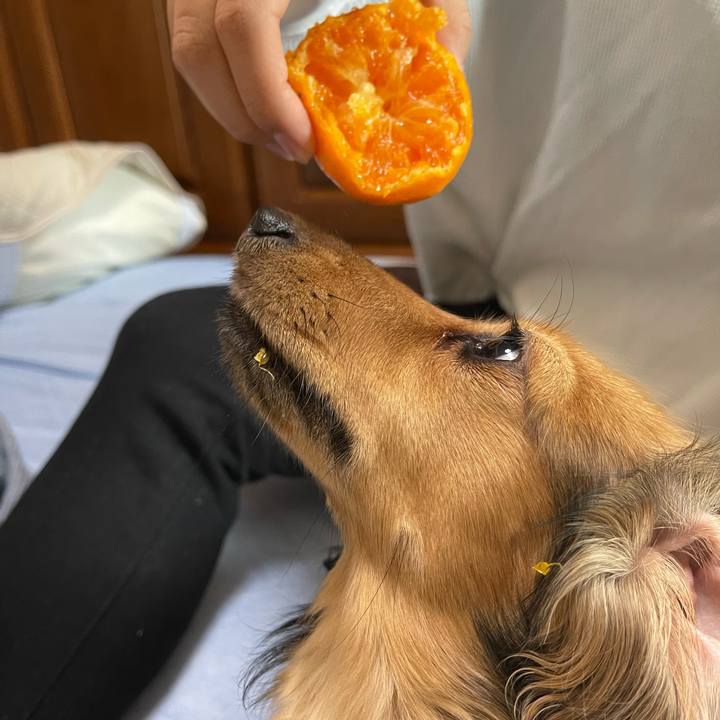 Fd4cfe51 5243 4088 acd5 bdc46478c99e 1639264127818