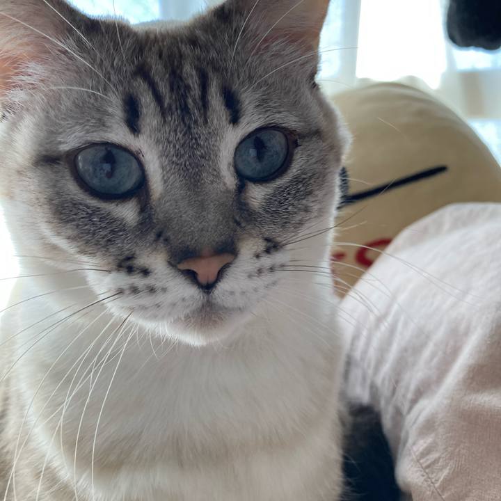 Fd4d0b57 f607 4c7c 8ac1 c1d4230545b2 1739856829611