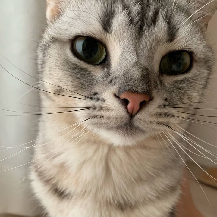 Fd4d2696 a988 4ed6 82ef 8dfc982b6240 1555201551018