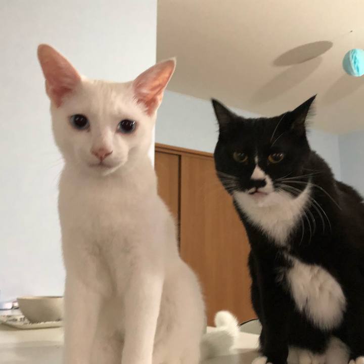 Fd4d2cc9 6e92 438b b027 67e0f12f46be 1541292069080