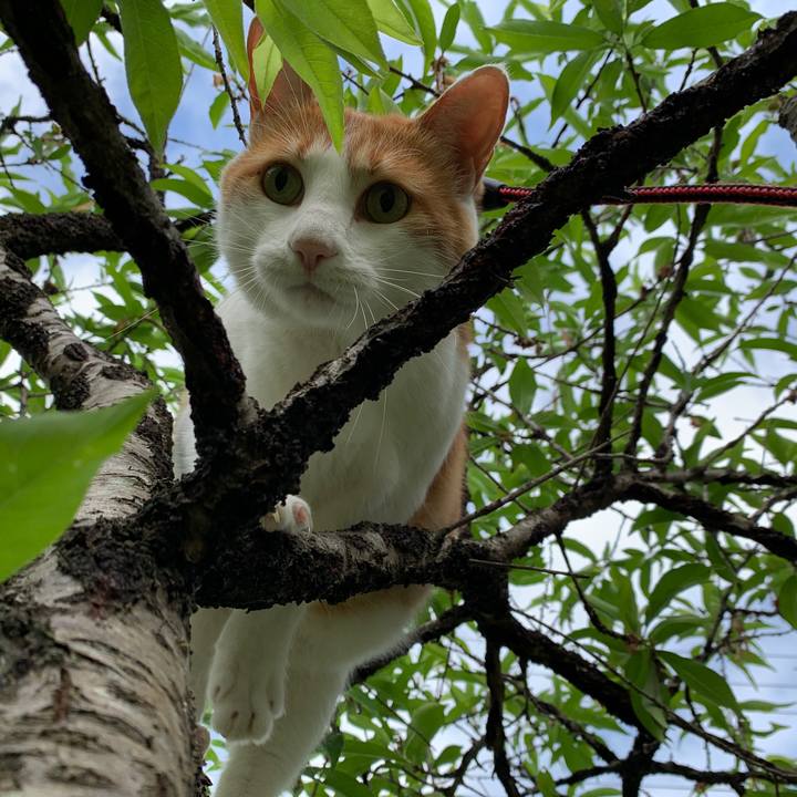 Fd4d3926 2bcc 4290 a3a4 59e38e826224 1591912762506