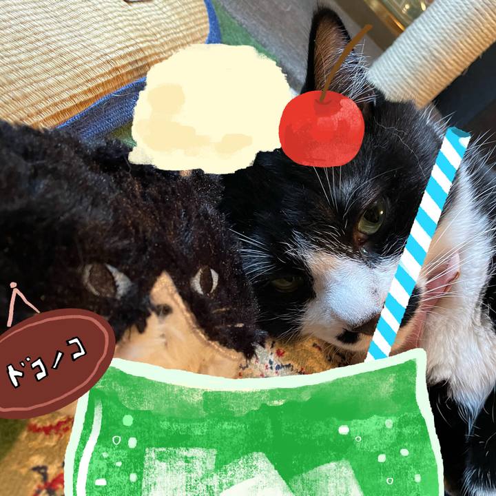 Fd4d3a4a 90c3 4ea3 821c 8d76bc42d528 1755062117902