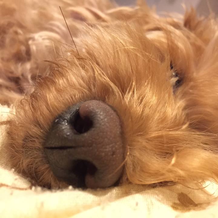 Fd4d418e 42d7 4d9a b074 1bb4000d1b1b 1523624201767