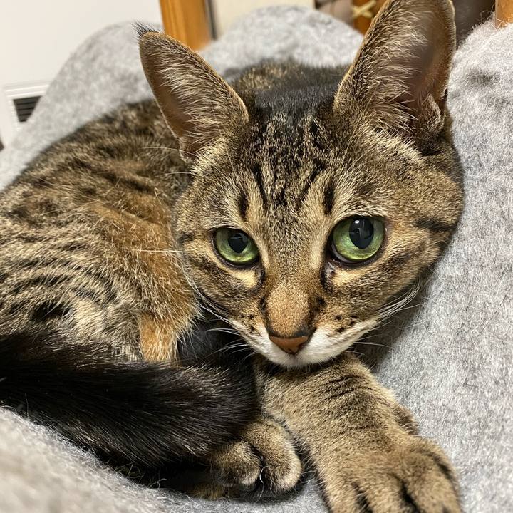 Fd4d4e0a 2c5c 47f4 899d 91667778fe73 1770436462479