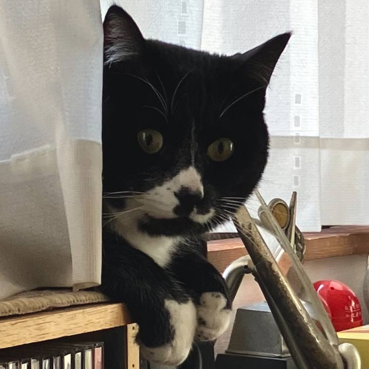 Fd4d5c04 1708 4239 ad8f 82bd0a26f27d 1684121884459