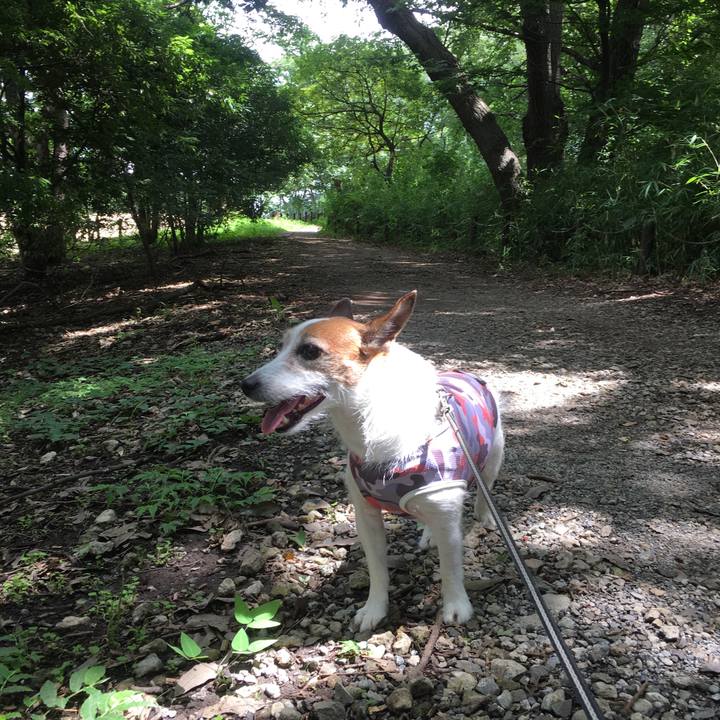 Fd4d6abd 0ed4 4301 8cb6 70aa1dc602f7 1596670473875