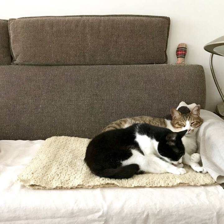 Fd4d6b0a d985 48fa bde8 6981224295b3 1528690308839